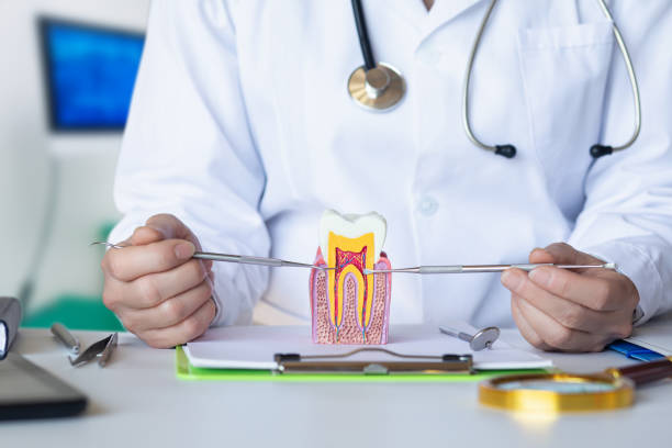Best Walk-In Emergency Dental Services in Paola, KS